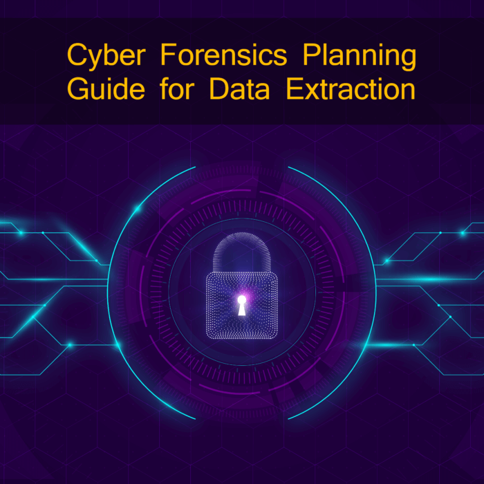 security surveillance, computer forensics