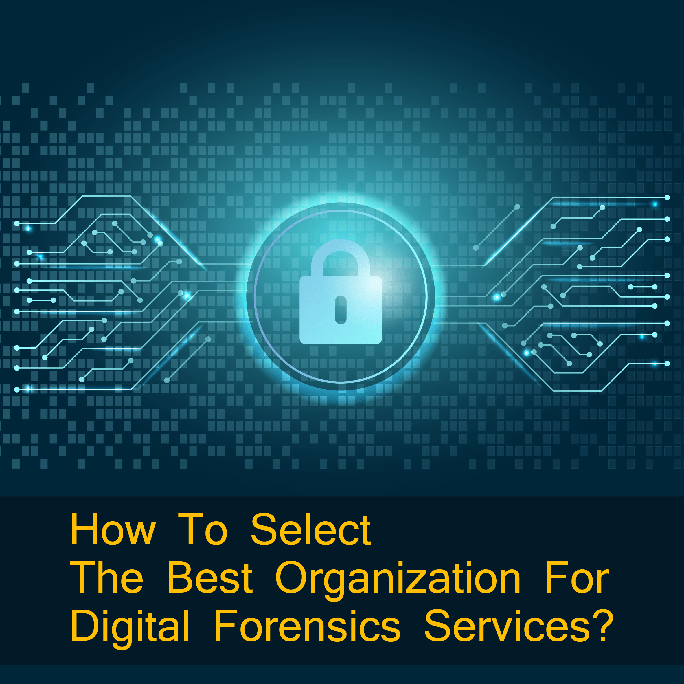 Password Recovery Solution, Mobile Unlocking Solutions
