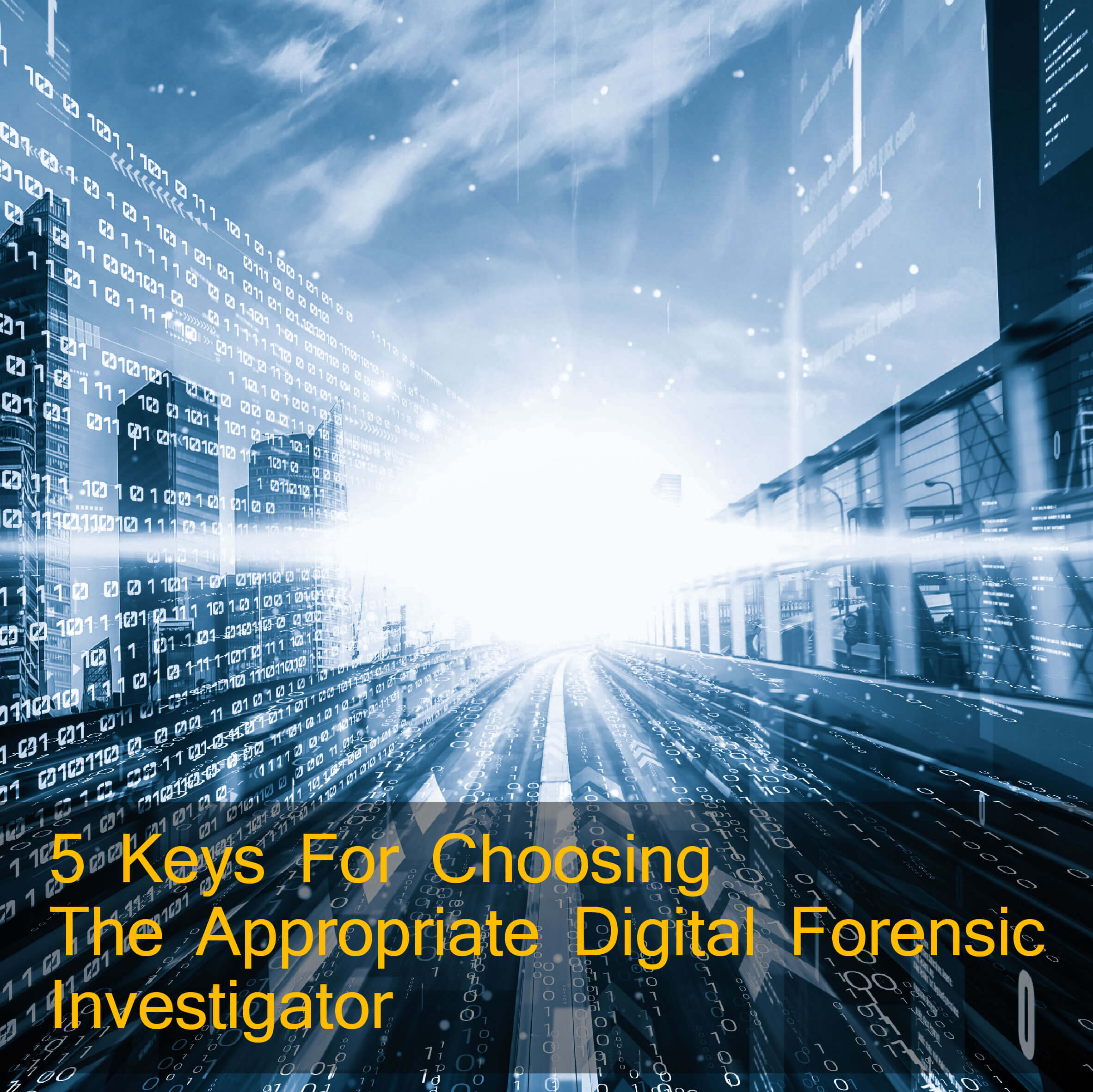 Digital Forensic Investigator, security surveillance
