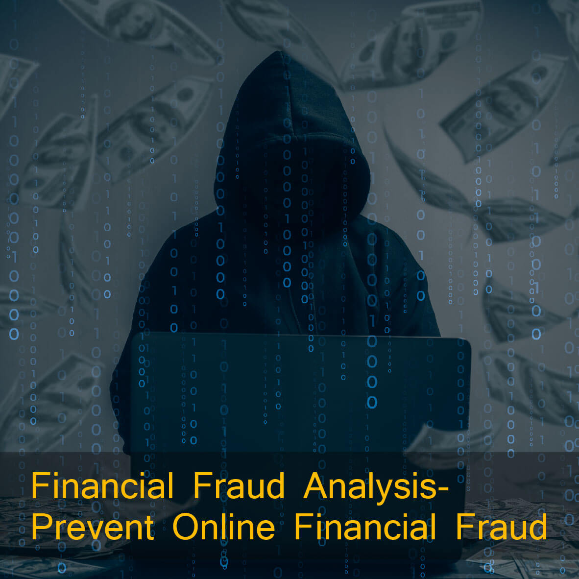 Financial fraud analysis, incident response